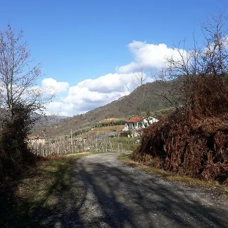 In Cima Alla Costa * بيفيرينو